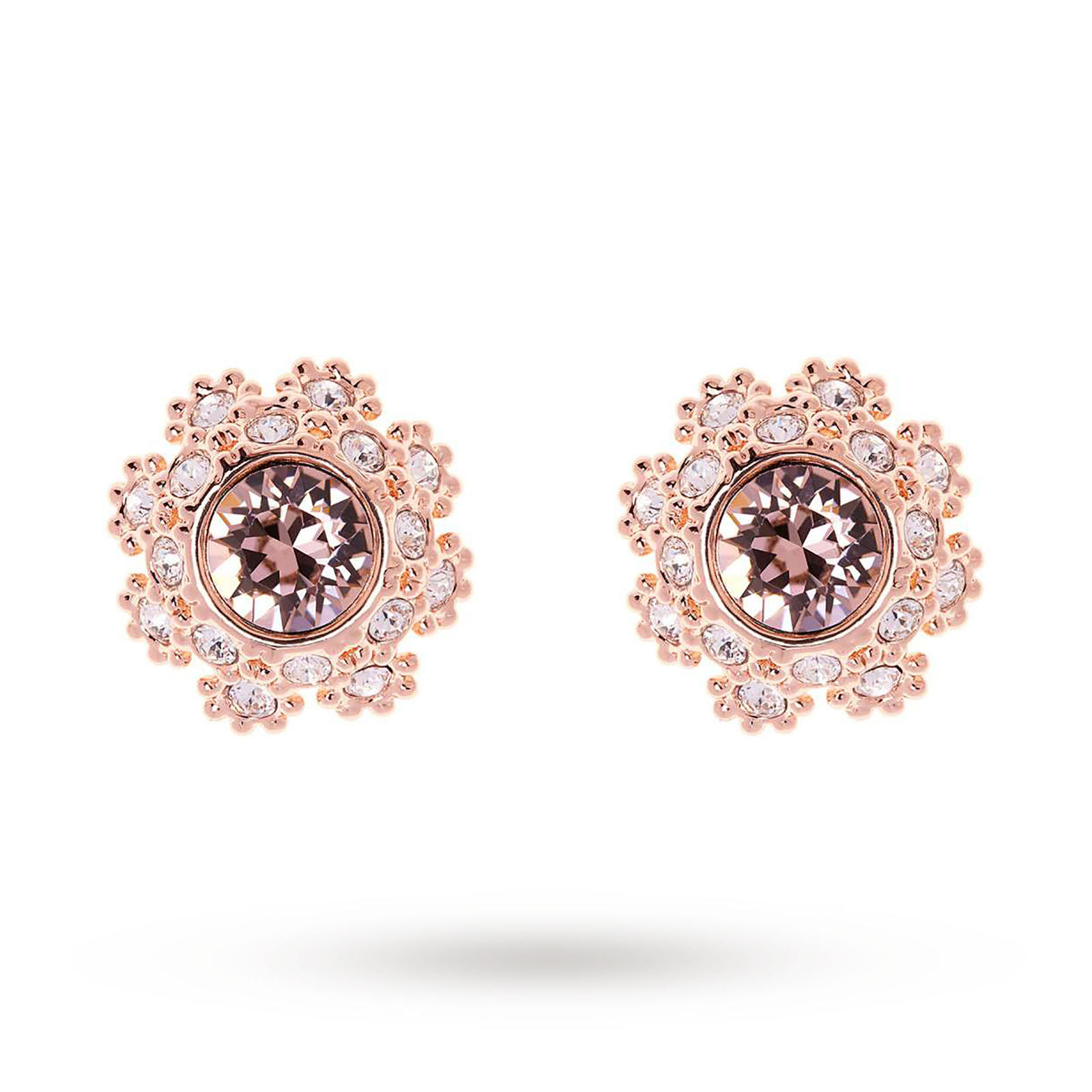 Ted Baker Seraa Rose Crystal Daisy Lace Stud Earrings Ted Baker Seraa Rose Crystal Daisy Lace Stud Earrings