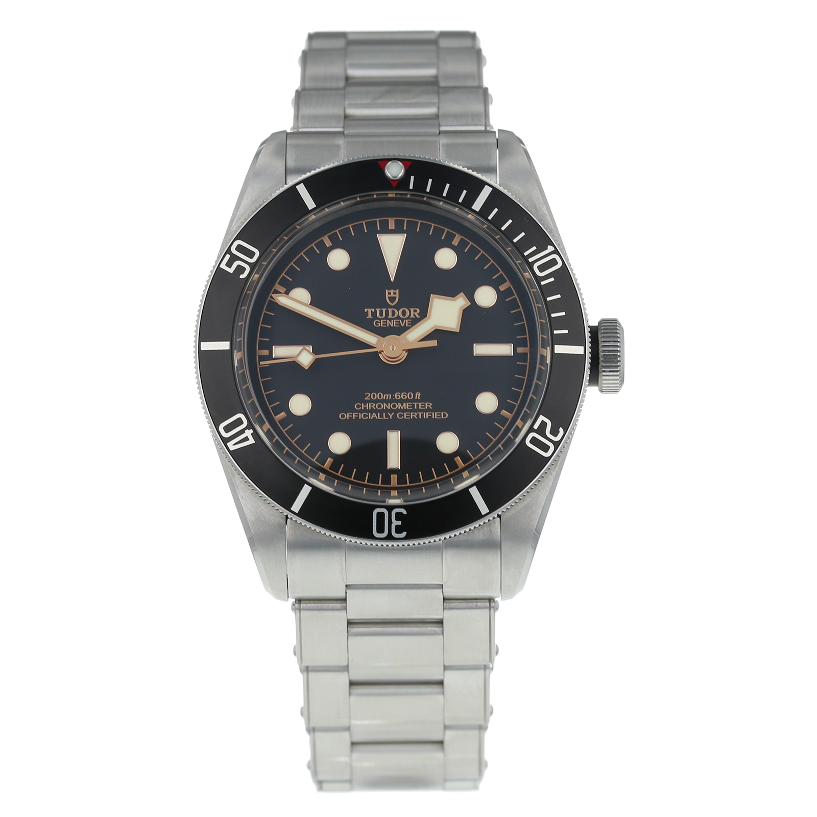 tudor black bay diver